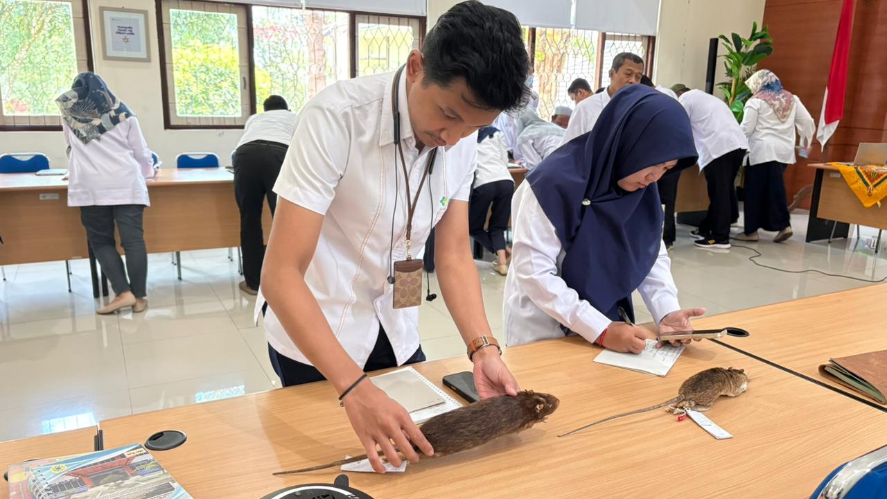 Pekan Internal Berbagi: Pengantar Identifikasi Tikus di Balai Besar Laboratorium Kesehatan Lingkungan